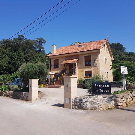 Hotel La Oliva Orena Esterno foto