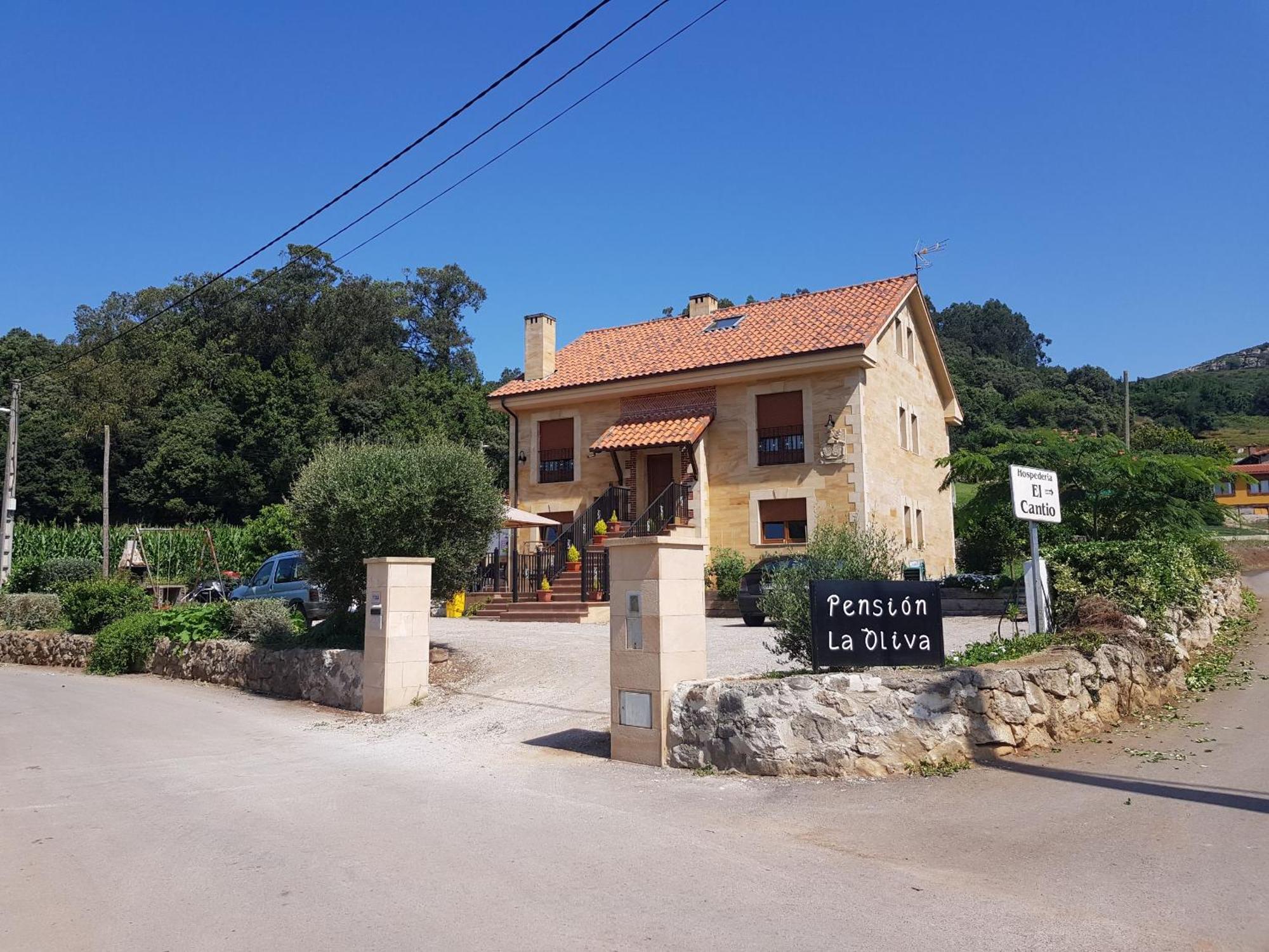 Hotel La Oliva Orena Esterno foto